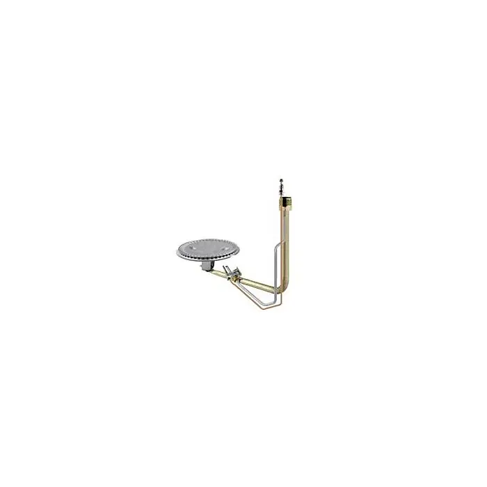 RHEEM AM35050EY Burner Assembly