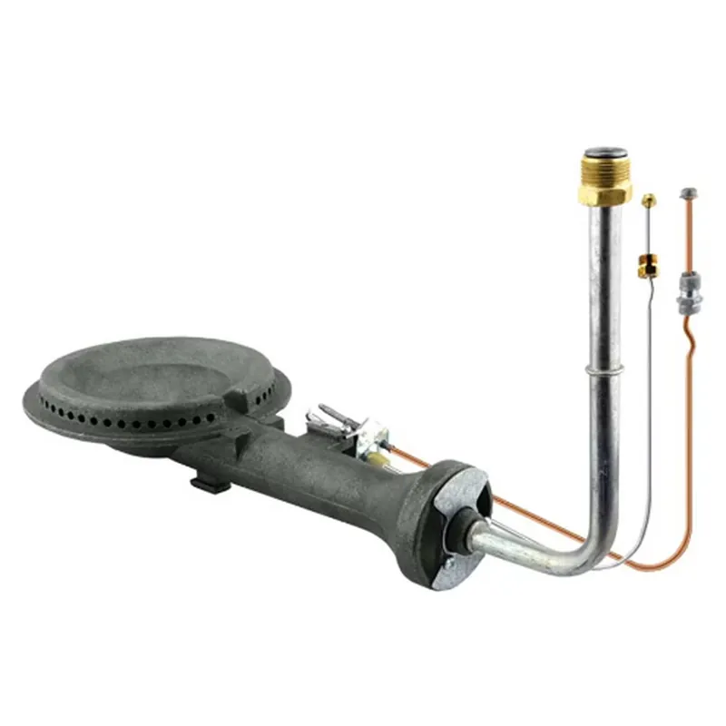 Rheem AS42133 Burner/Pilot Assy 100 Gallon