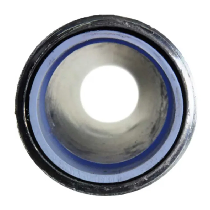 RHEEM AP10500H 19 Inch Dip Tube and Nipple Assembly