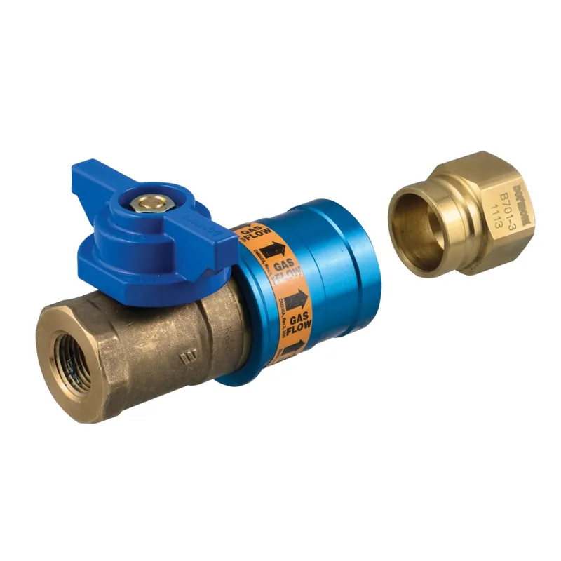 DORMONT CF-75R Safety Fitting Quick Disconnect Valve