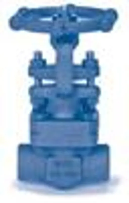 BONNEY FORGE 027-0080 Gate Valve 2 in Forged Steel 800 Class