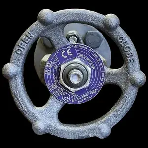 BONNEY FORGE HL-11-T Gate Valve