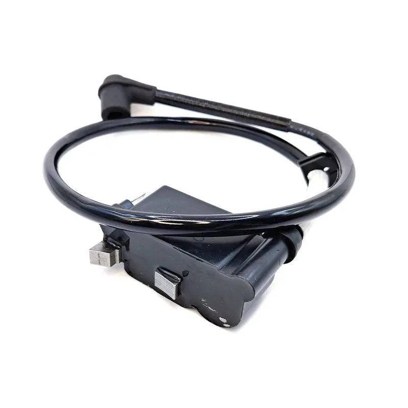 HUSQVARNA 596813001 Ignition Module Assembly