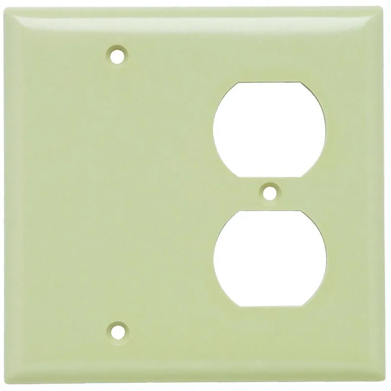 Pass & Seymour SP138-I Standard Combination Wallplate, 1 Gang, 5 in