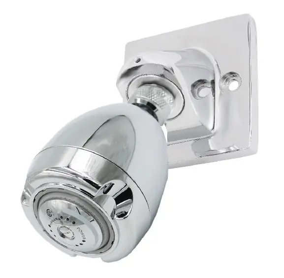 Leonard Valve 15 Shower Head