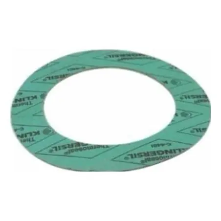 YORK 028-15075-019 Gasket Round ANSI 20.00-150#