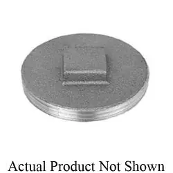 Sioux Chief 876-50 Raised Square Head Cleanout Flush Plug 5 in Cleanout Brass