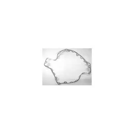 YORK 064-49549-000 Motor End Cover Gasket