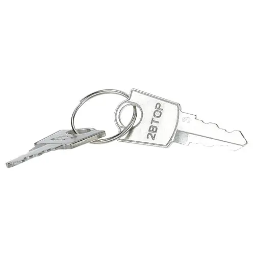 Turbo Air 3000000002 Keys (Pair)