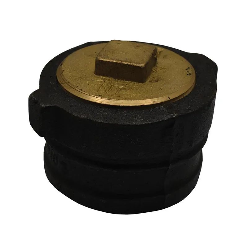 Jones Stephens C38402 2 in. No Hub Cleanout