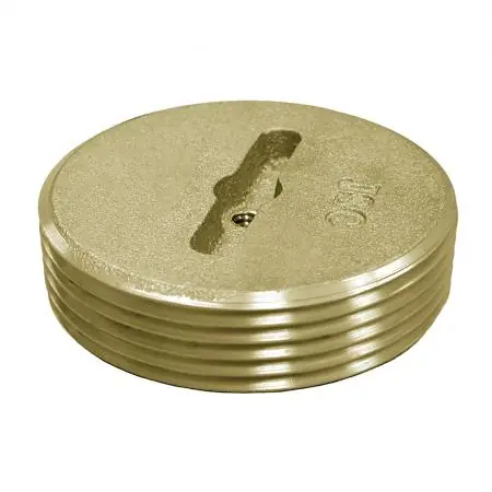 JONES STEPHENS P58300 3 SLOTTED BRASS C/O PLUG W/TAP