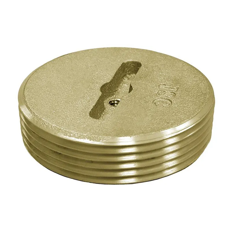 Jones Stephens P58200 2 in. Brass Slotted Plug Tapped
