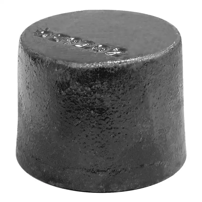Jones Stephens D59204 4 in. No Hub Cast Iron Plug