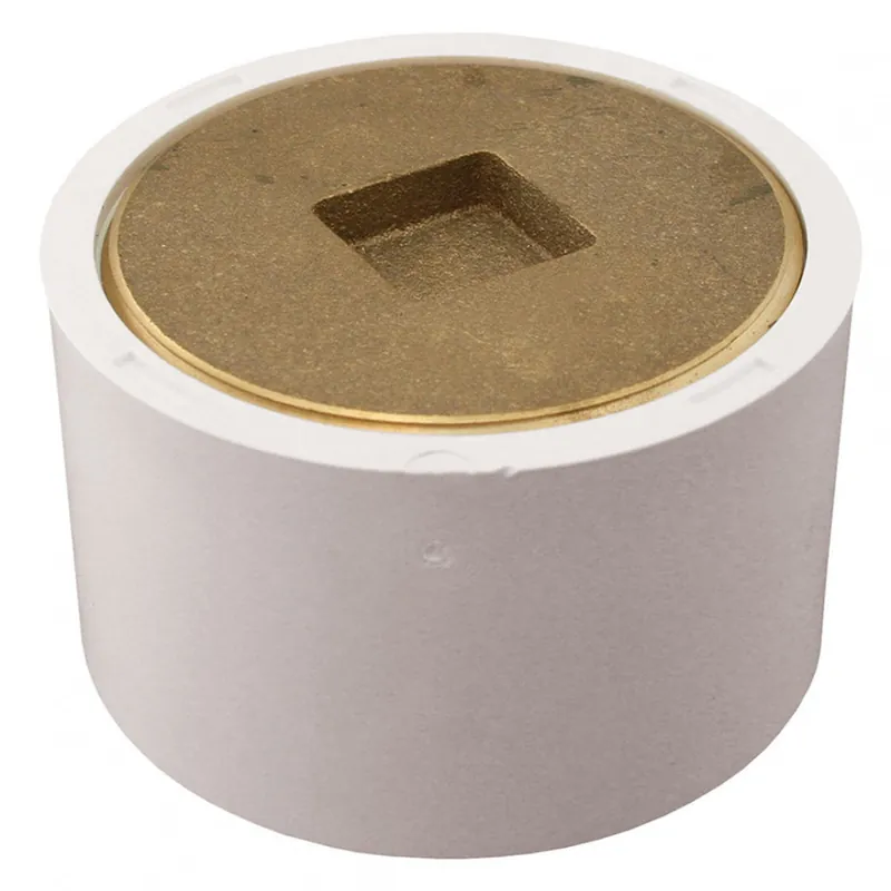 Jones Stephens C61223 2X3 PVC Flush Fit C/O W/2 Brass Csk Plug